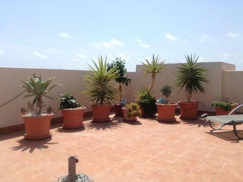 Apartamento Paulina El Bosque