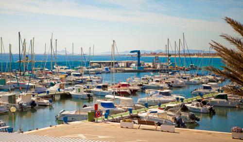 Apartament Palmera 100m Od Morza