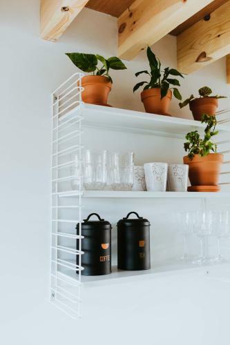 Bed & Breakfast Musa Antwerp