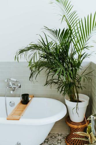 Bed & Breakfast Musa Antwerp