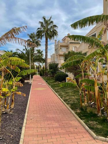 Apartament Tosca Villamartin With Pool