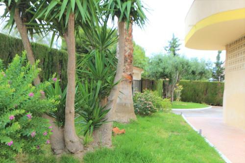Apartamento Calle Mayor Ref. 8271