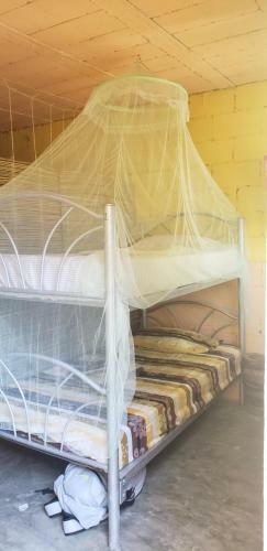 Hostal Y Camping Las G