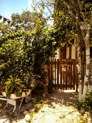 Hostal Guarumbo