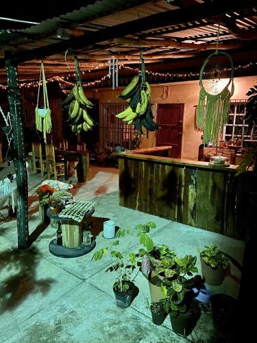 Apartamento Jungla Bacalar/ Casa Jaguar
