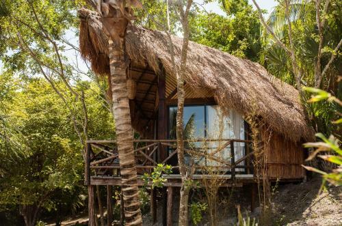 Lodge Amaca Bacalar