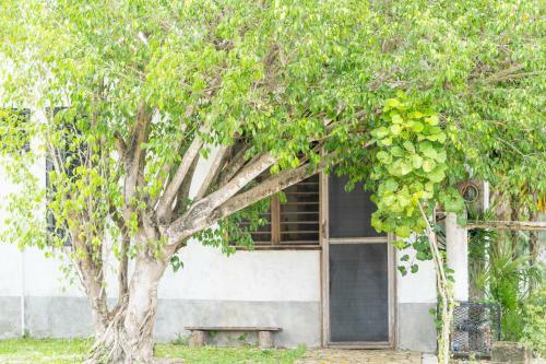 Apartment With Kitchen And Access To The Lagoon