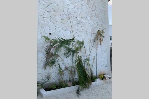 Apartamento Baona Bacalar