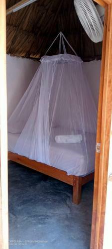 Hostal Caba�as Alma Verde
