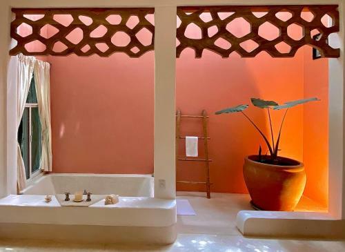 Bed & Breakfast Casa Calisa