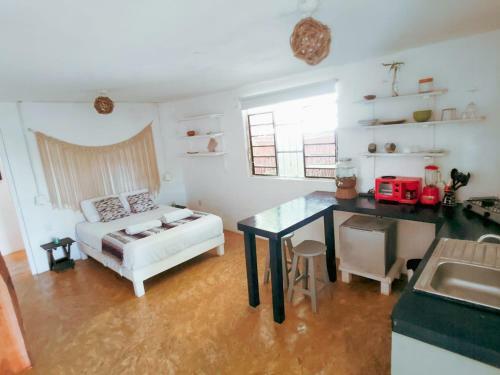 Apartamento Casa Arte Bacalar