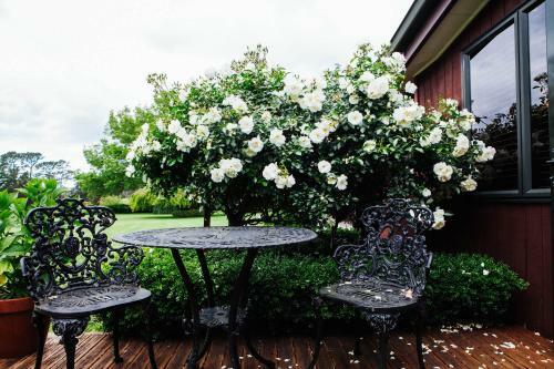 Bed & Breakfast Trevean Boutique Accommodation