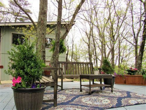 Tree House Cabin - The Original