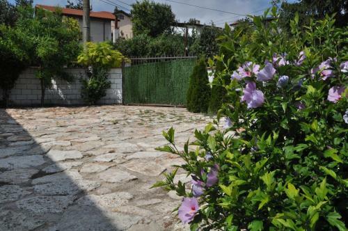 Hostal Villa Holiday