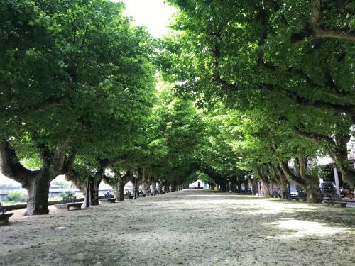 Apartamento Padr�n Centro, Camino De Santiago