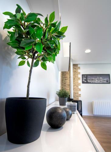 Apartamento Martinez Padr�n