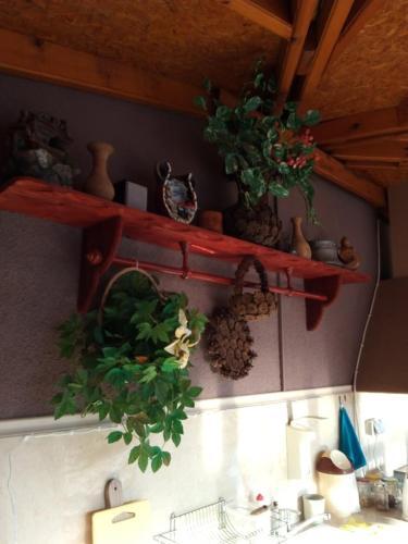 Apartamento Villa "meggi" ?????????? ????-?????????? 3-?? ???? - 2 ??????,???????????,????,???????,??????