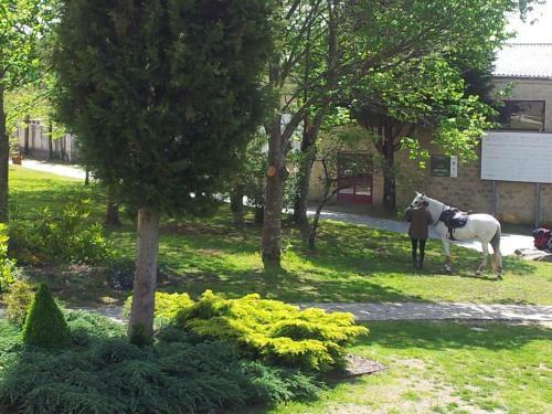 Lodge Complejo La Caba�a
