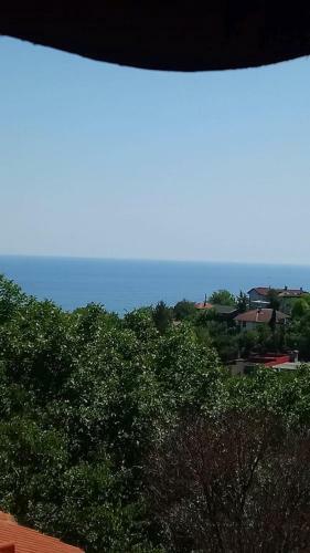 Apartamento Guesthouse Elly