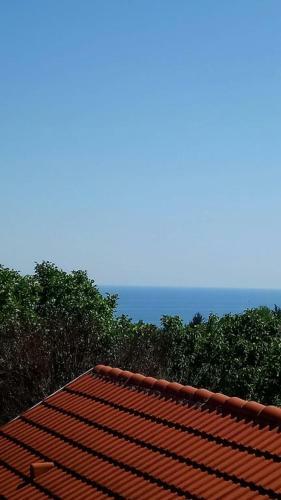 Apartamento Guesthouse Elly