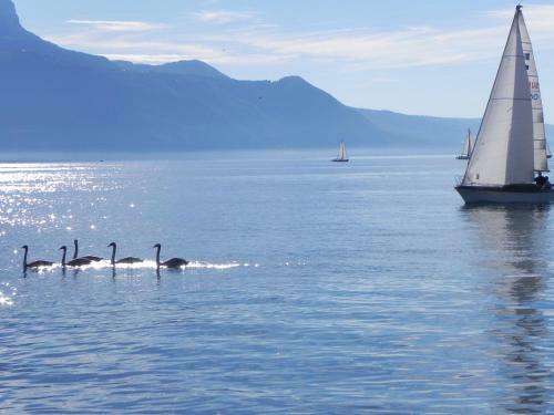 Hostal El�ment-terre