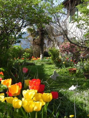 Hostal El�ment-terre