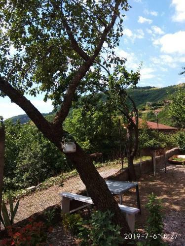 Hostal Nnn Guest House