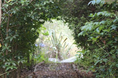The Luxury Honolulu With Private Bar At Paradise Valley Glamping