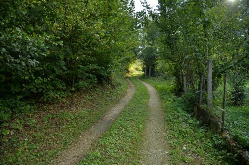 Vikendica Tiha Dolina Cazin