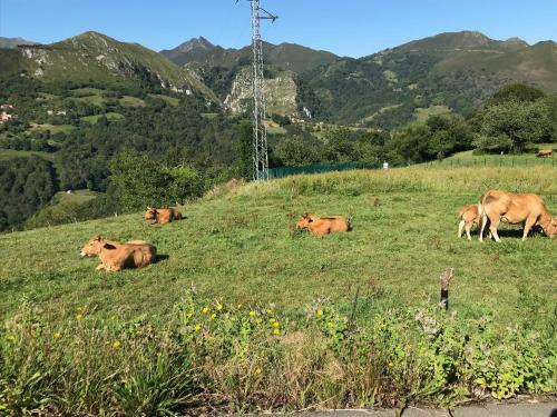 Casa Rural En Arriondas