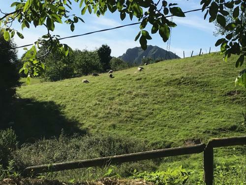 Casa Rural En Arriondas