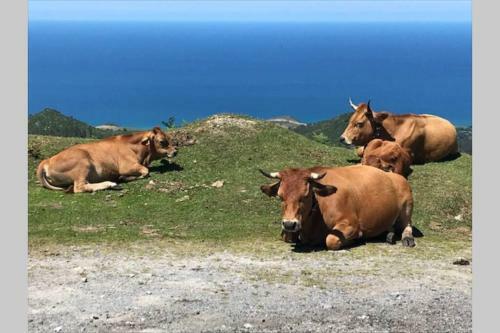 Casa Rural En Arriondas