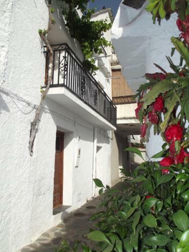 Casa Pepo