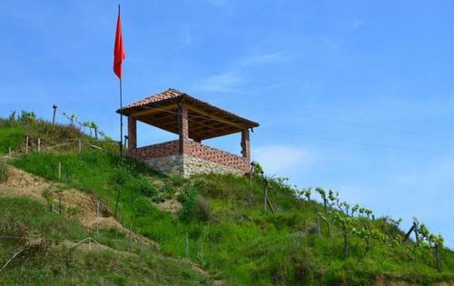 Camping Tirana