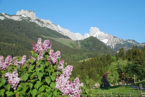 Apartamento Alpenhaus Donnerkogel