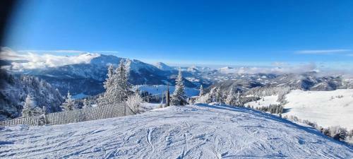 Apartamento Alpenhaus Donnerkogel