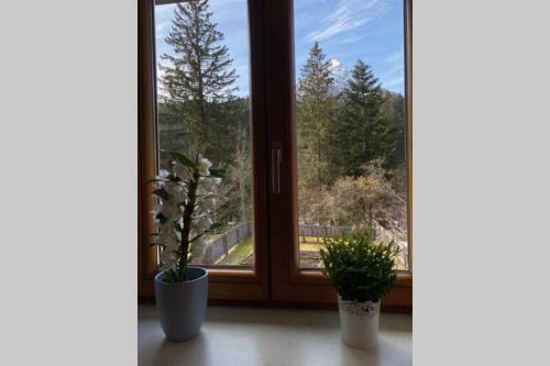 Urlaubsparadies Bogenhof - 5 Minuten Zum Lift