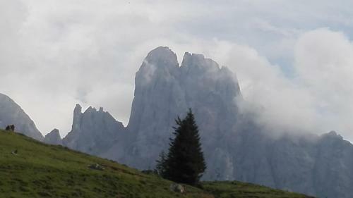 Apartamento Ferienwohnung Donnerkogel
