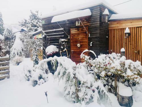My Tiny Moos - Small Natural Garden Chalet