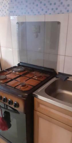 Hostal Guest House Otilia