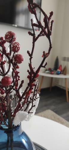 Apartamento Kayaran Home
