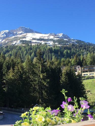 Apartamento Haus Wildebene