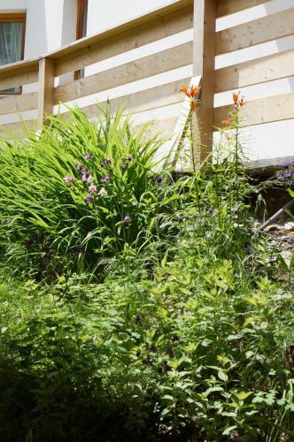 Bed & Breakfast Pension Schollberg