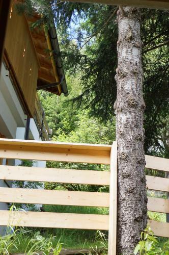 Bed & Breakfast Pension Schollberg