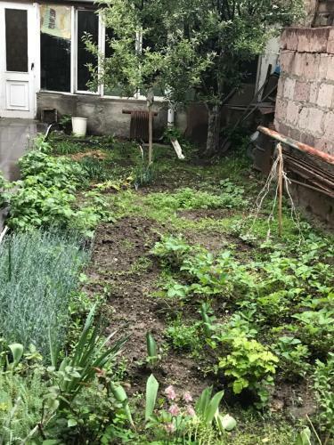 Vardanyan?s Apartament