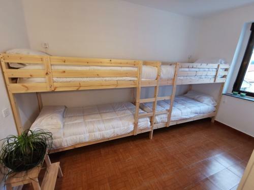 Green Hostel