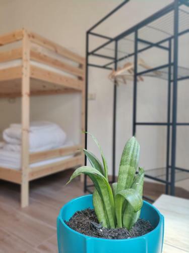 Green Hostel