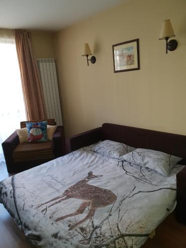 Dream Apart Hotel 207
