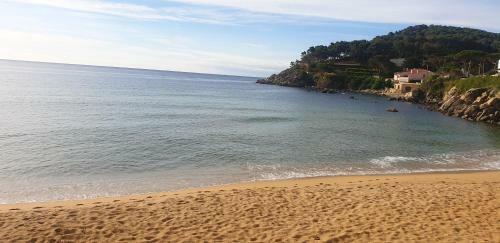 Apartamento Con Jard�n A 11 Metros de La Playa. Cg.