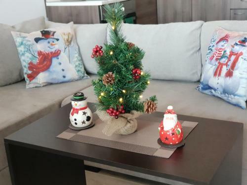 Royal Bansko Aparthotel 206d